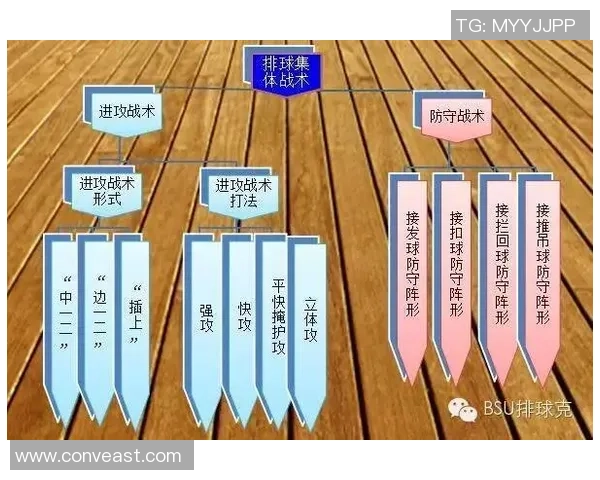 上海排球队整体压制战术解析与实战应用探讨 上海排球队整体压制战术解析与实战应用探讨