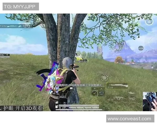 和平精英战术分析:深入探讨BLG边路渗透策略与实战应用 和平精英战术分析:深入探讨BLG边路渗透策略与实战应用