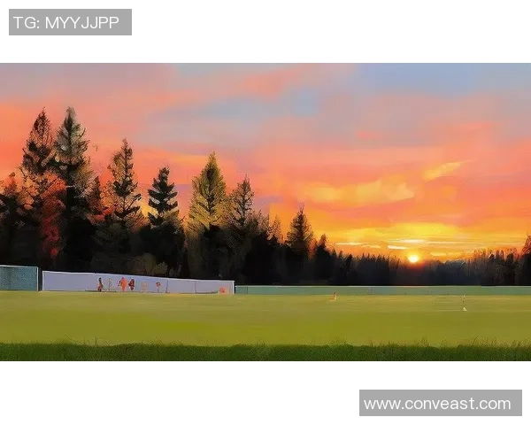 在绿茵场上用足球传递爱意的浪漫表白方式